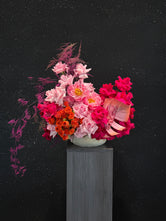 Bloom Bliss