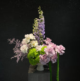 Bloom Bliss