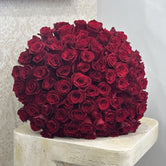 Red Color Roses