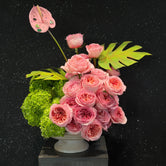 Bloom Bliss