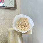 White Color Roses