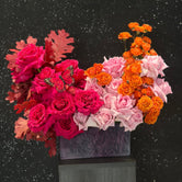 Bloom Bliss