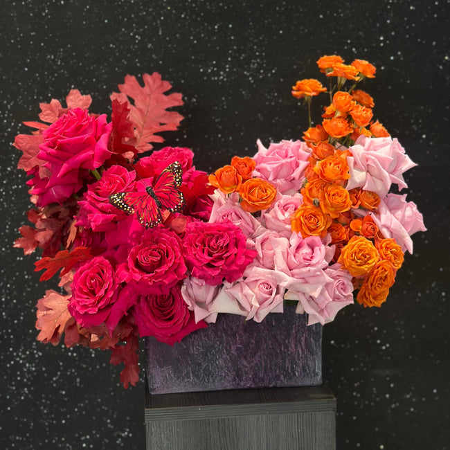 Bloom Bliss