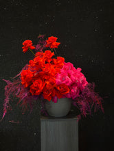 Bloom Bliss