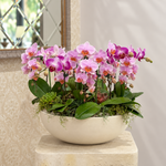 Caelora pink mini orchid arrangement in ceramic vase by AY Flowers