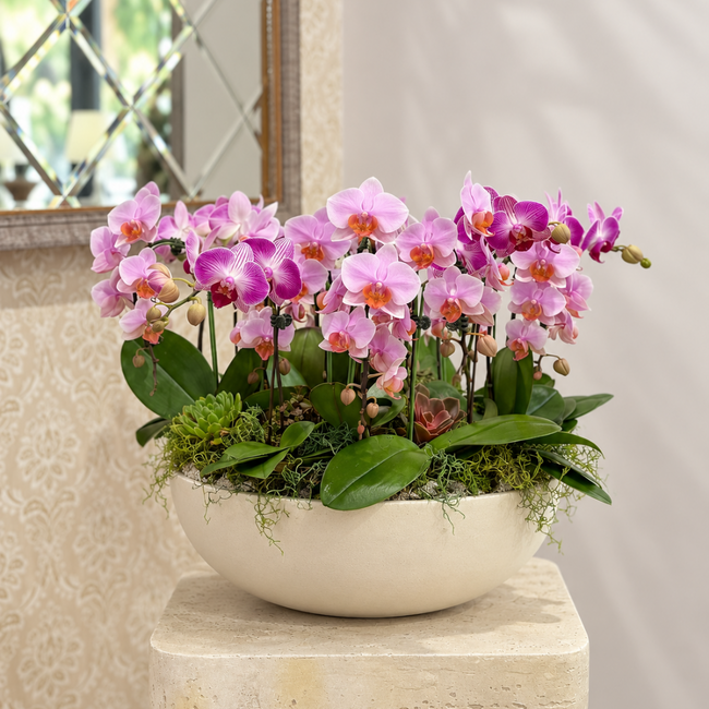 Caelora pink mini orchid arrangement in ceramic vase by AY Flowers