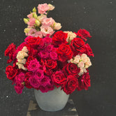 Bloom Bliss