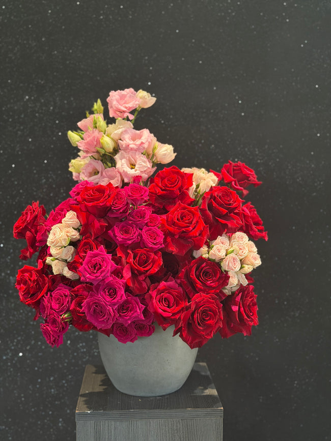 Bloom Bliss