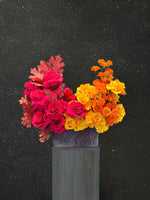 Bloom Bliss