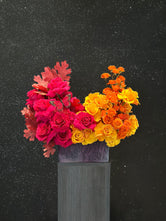 Bloom Bliss