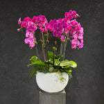 Coravelle hot pink cascading orchid arrangement in ceramic bowl vase by AY Flowers