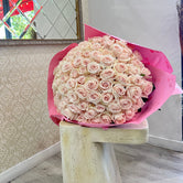 Light Pink Color Roses