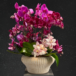 Aurevia hot pink orchid arrangement with Cymbidium in ceramic vase by AY Flowers