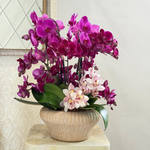 Aurevia hot pink orchid arrangement with Cymbidium in ceramic vase by AY Flowers